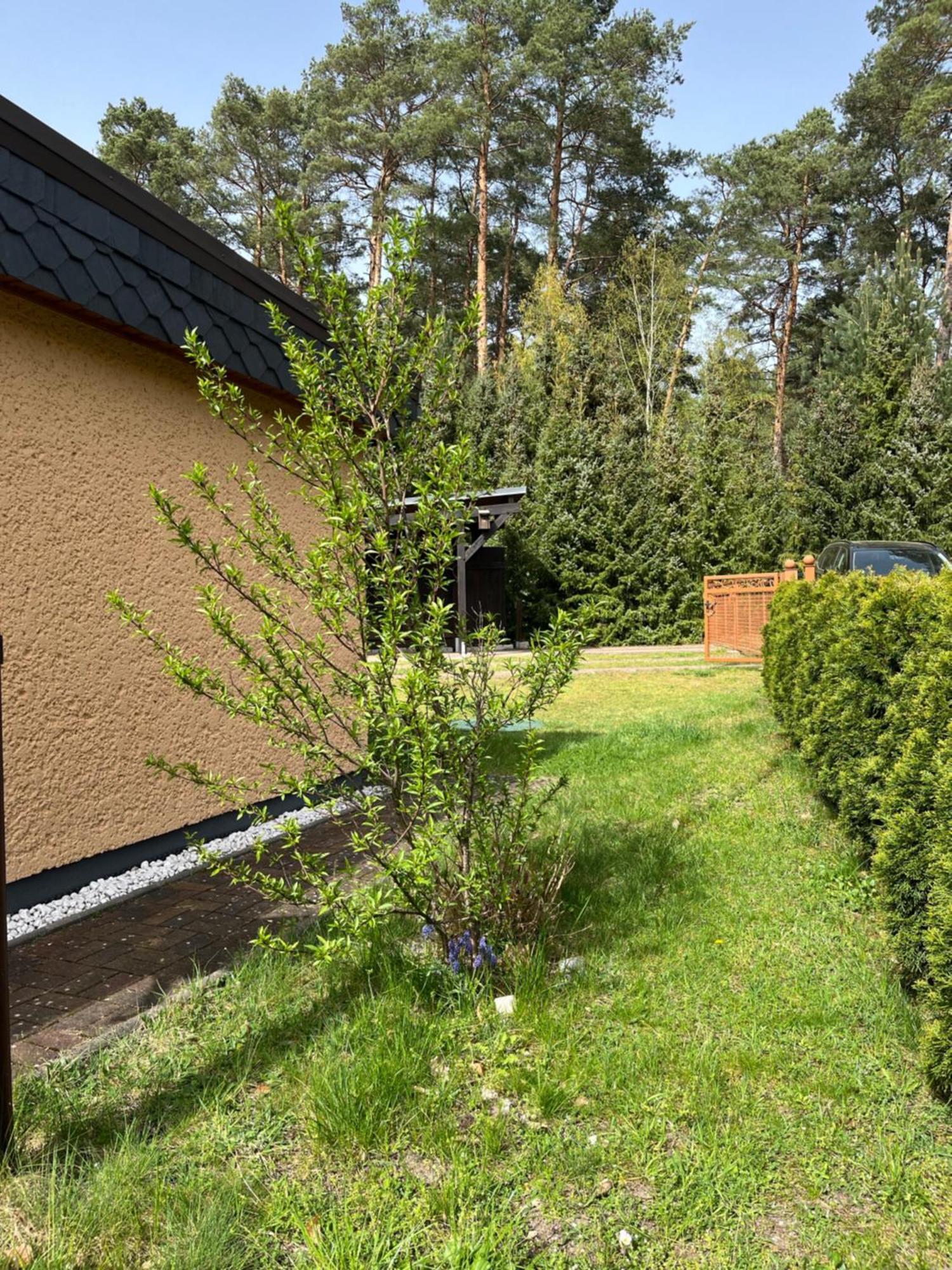 Ferienhaus Fjola Schenkendobern Exterior foto